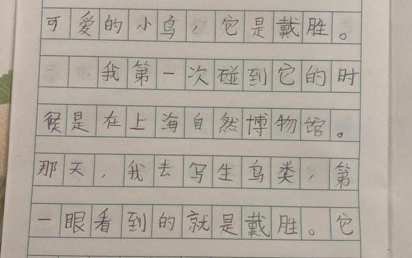 我最喜欢的动物 动物作文范文