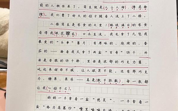 过年日记100字_日记50字