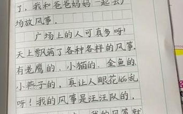 小学二年级简单日记_25片日记100字