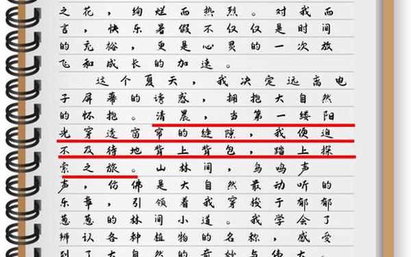 快乐暑假作文400字5篇、快乐的暑假汉化5.0版权声明