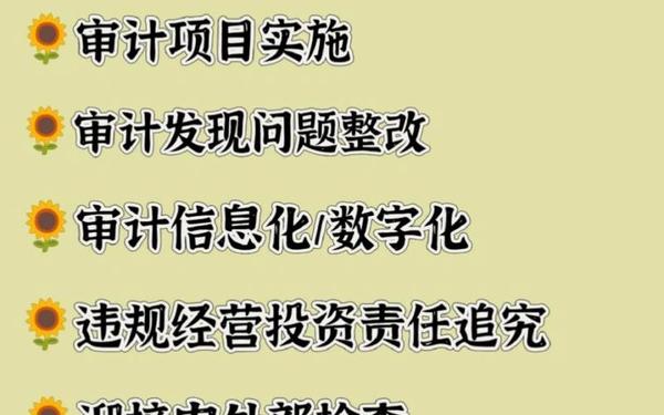 年度审计计划—如何制定年度审计计划