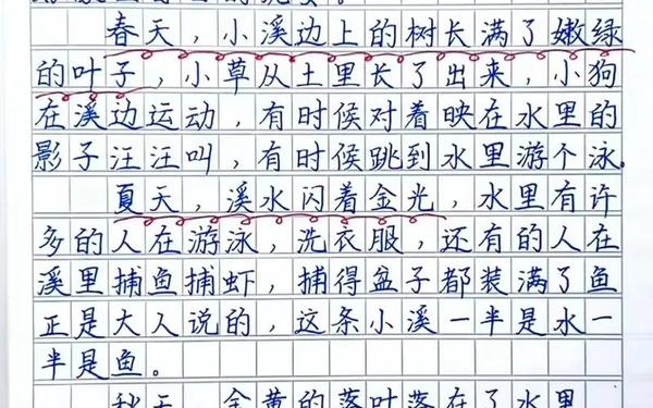 三年级作文这儿真美、《这儿真美》怎么写