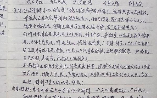 水浒传第二回读后感,王教头私走延安府阅读感想