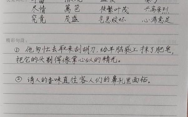 小学生读书笔记模板,读书笔记100张图片