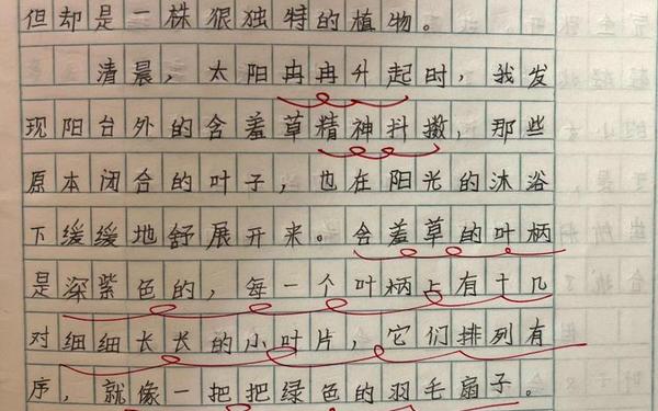三年级写植物300字、三年级描写植物的优秀作文