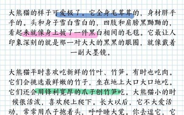 三年级作文熊猫;写大熊猫的作文300字以上