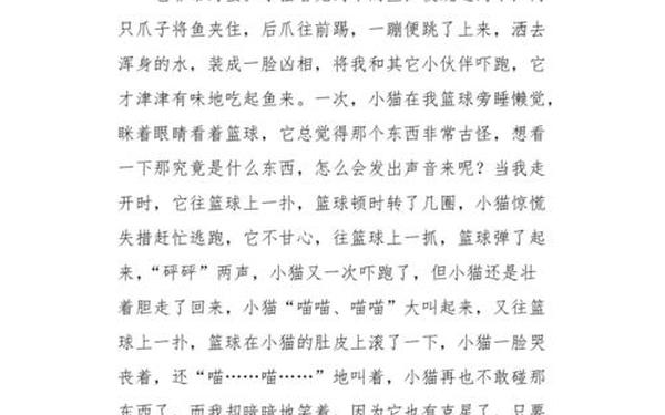 小猫400字优秀作文(仿写《猫》400字)