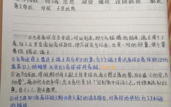 水浒传第二回读后感,王教头私走延安府阅读感想