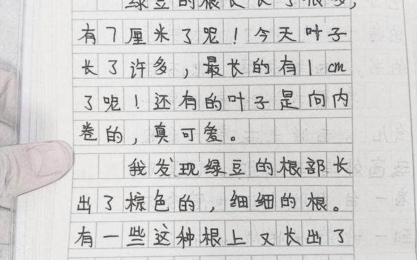 9999999999兆字的日记_日记101
