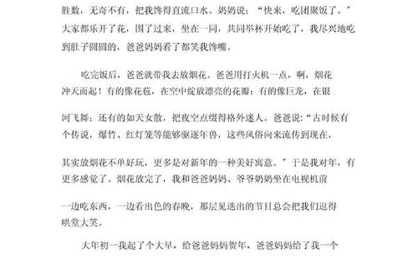 关于新年的作文-《过新年》作文