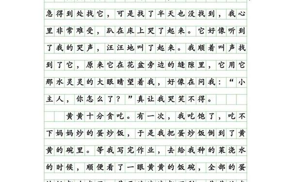 关于狗的作文、关于狗的作文400字四年级