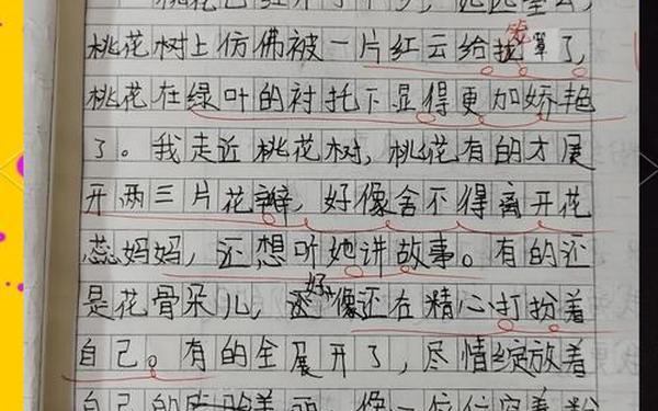 荷叶圆圆仿写句子,仿写句子一朵朵荷花