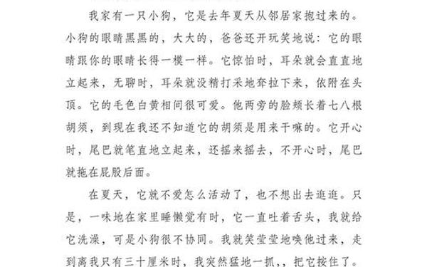 我的心爱之物作文小狗 我心爱之物小狗作文400字