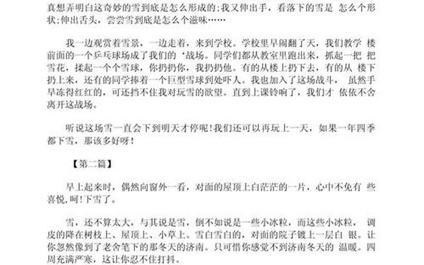 关于第一场雪的作文,第一场雪作文600字初中