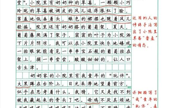 四年级作文《我的乐园》、我的乐园400字可抄