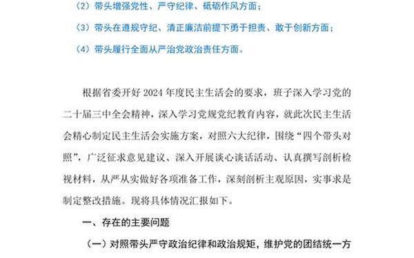 个人对照检查材料范文-2025年个人检查发言材料