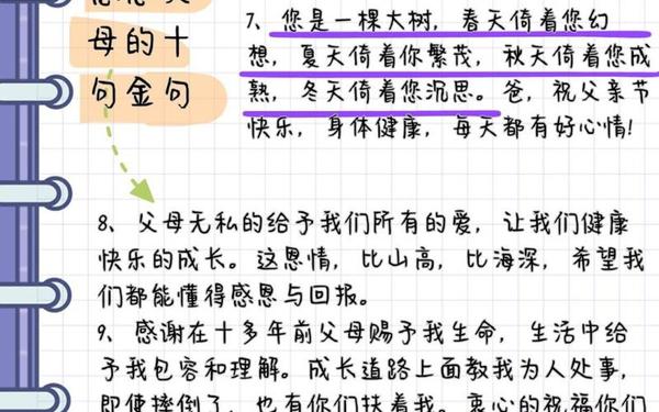 对老人的感恩寄语—表扬一个人有孝心的话