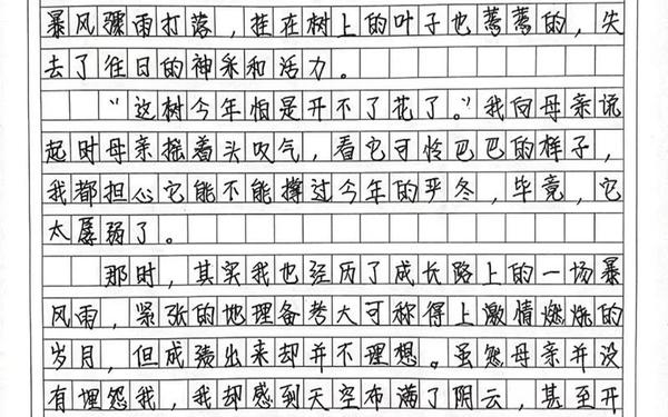 我心中的那一轮太阳 为自己画一轮太阳作文600字