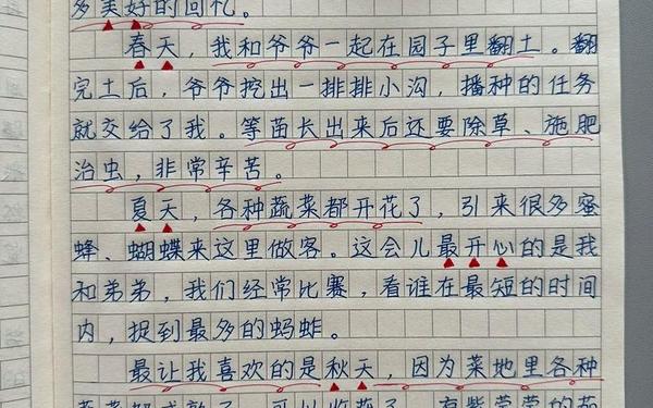 250字作文—作文我的乐园300字左右四年级下册