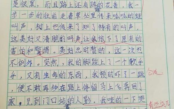 难忘的第一次作文300字—9000000000字作文