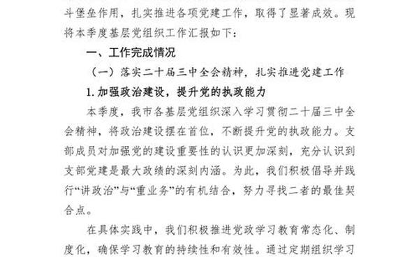 党支部年度工作总结;支委会工作报告2024