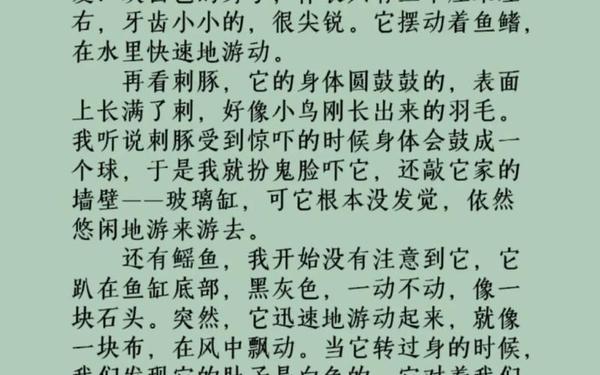 难忘的国庆节-国庆节300字可抄