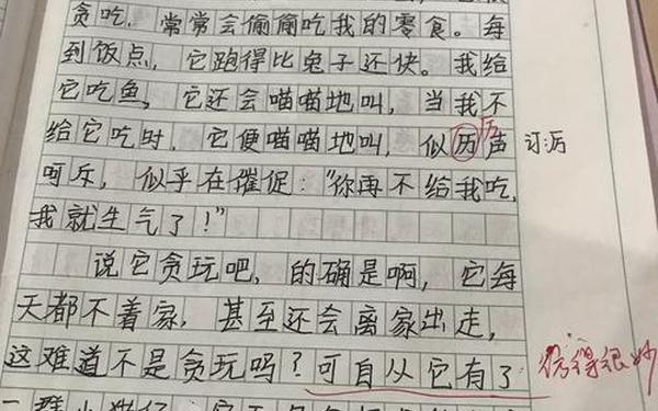 小动物作文600字-描写动物5个连续动作