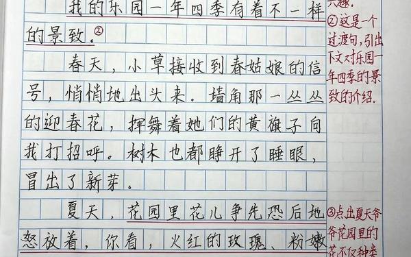 四年级作文我的乐园300字(我的乐园300字优秀作文)