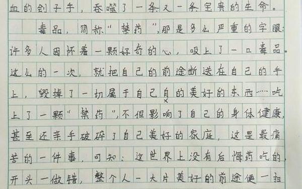关于禁毒的作文,禁毒小说600字作文