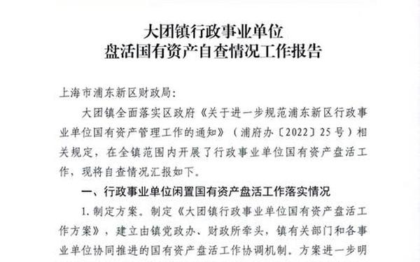 单位保密自查报告 单位财务自查自纠报告