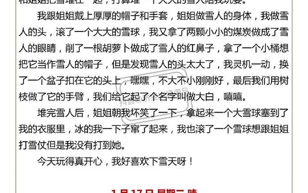 30篇优秀日记250字 日记250字