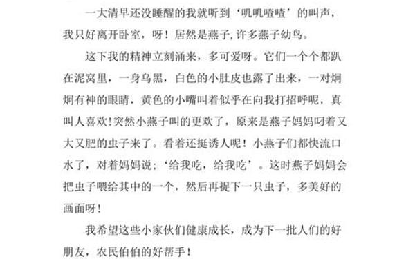小动物作文400字—描写三年级燕子的动物作文400字左右