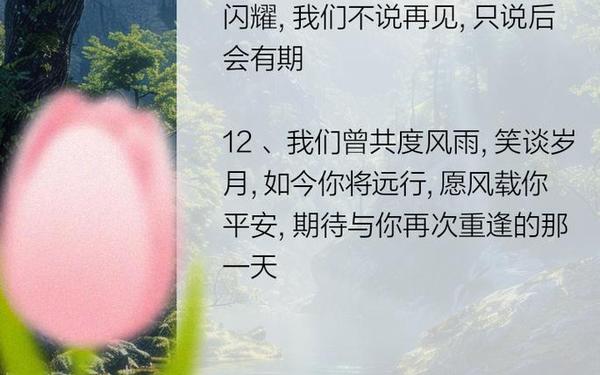 高情商的告别句子_告别的优美句子