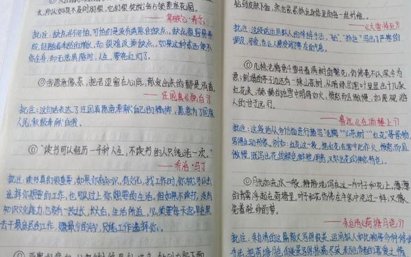 40个优美句子加赏析 环境描写摘抄加批注