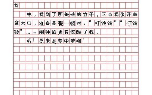 十篇优秀日记500字,六年级日记500字