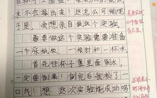 我做了一项小实验三年级作文—小实验作文300字三年级下册