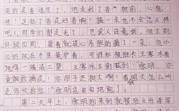 开满丁香花的校园作文450字—开满丁香花的校园怎么
