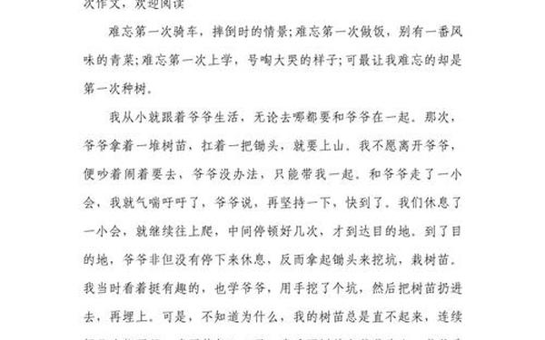 难忘的第一次作文500字,什么第一次作文500字
