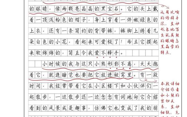 我的心爱之物作文450字五年级(我的心爱之物五年级)
