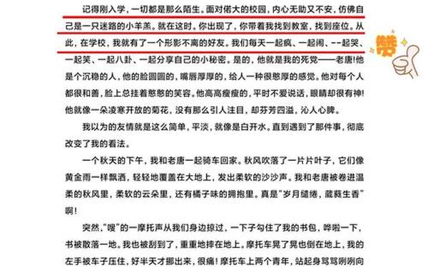 关于友情的文章(《关于友情》)
