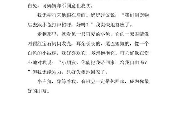 二年级作文写小白兔 兔子的作文二年级
