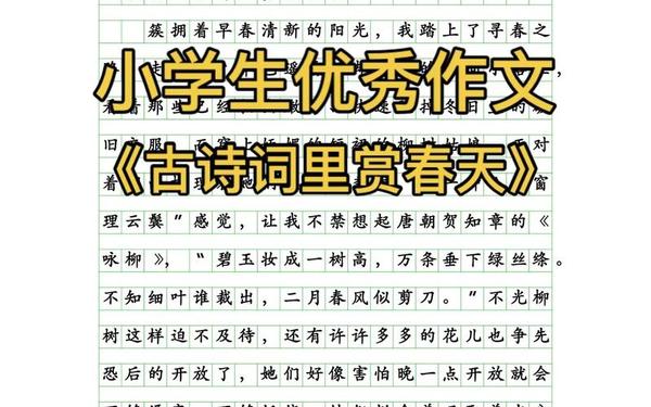 小学满分作文—优秀作文600字