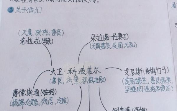 大卫科波菲尔读书笔记(大卫科波菲尔摘抄+心得)
