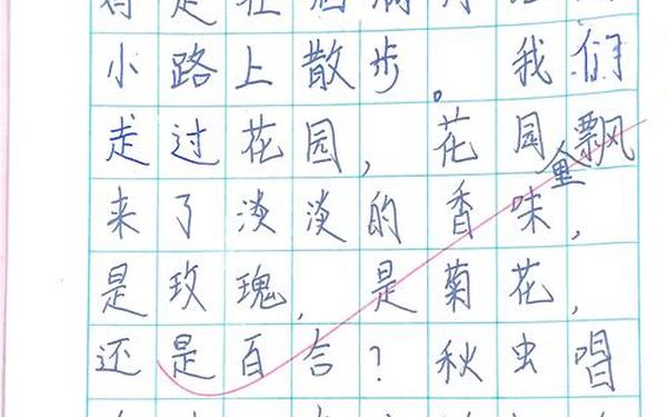 四年级上册走月亮小练笔(走月亮课后小练笔50字)
