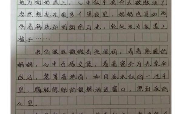 最令我感动的一件事作文400字—这个人,真难忘作文600字