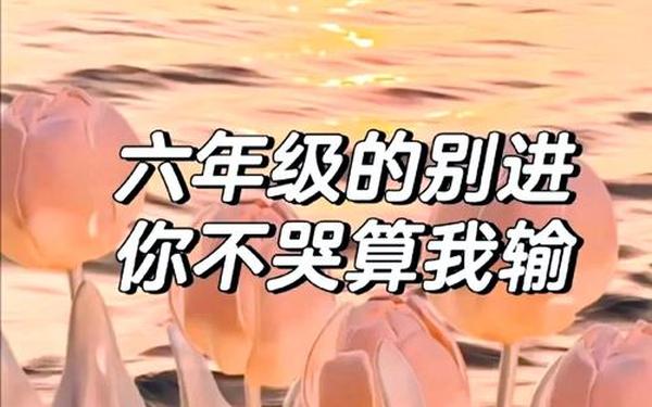 小学毕业哭爆句子、盘点六年级毕业哭的视频