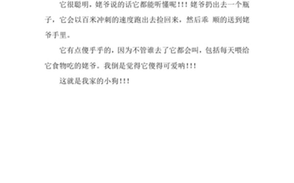 可爱的小狗作文100字-可爱小狗100字小练笔