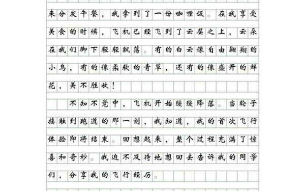 一件事作文(寒假中的一件事作文400字左右)