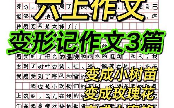 变形计六年级作文-以变形计为主题的作文六年级