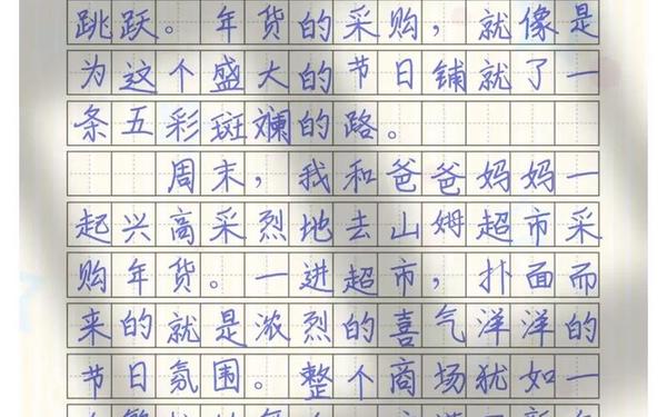 买年货的日记 买年货作文300字